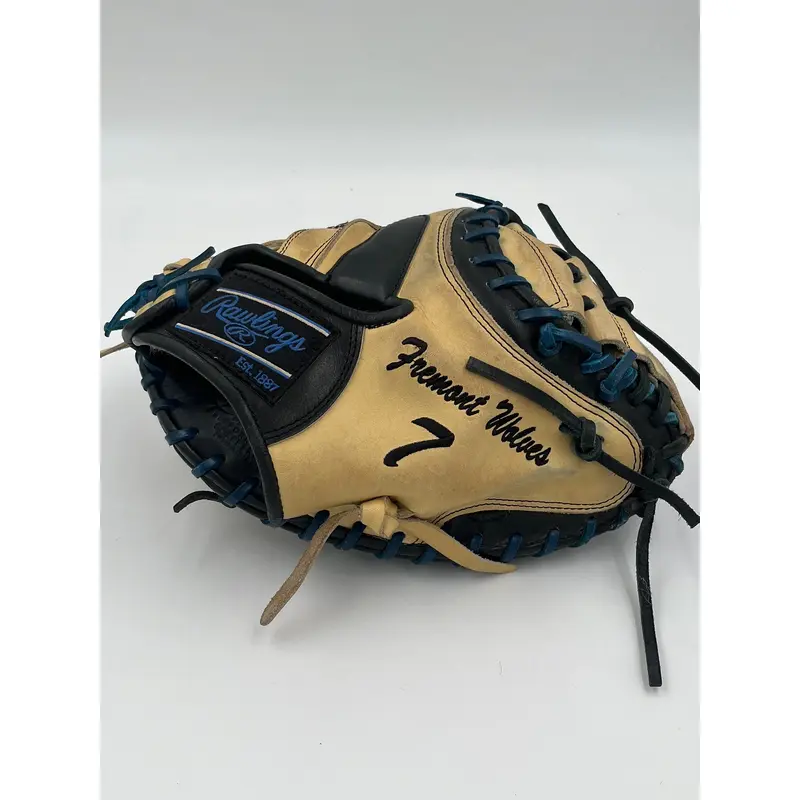 Custom Rawlings Pro Preferred 33 Catchers Mitt Baseball Glove
