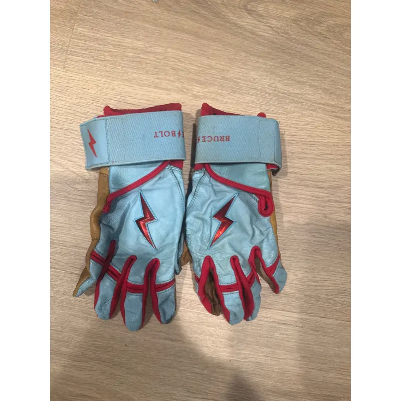 Large Bruce Bolt Batting Gloves (Used)