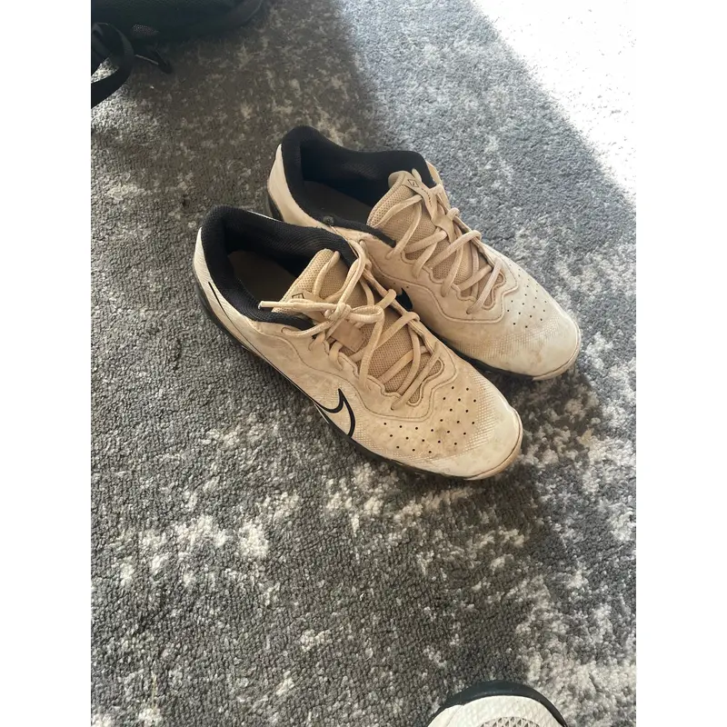 White Men's Size M 8.0 (W 9.0) Nike Low Top FastFlex (Used)