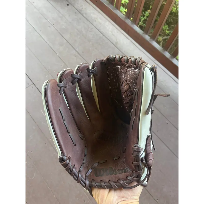 Wilson A950 series baseball glove.