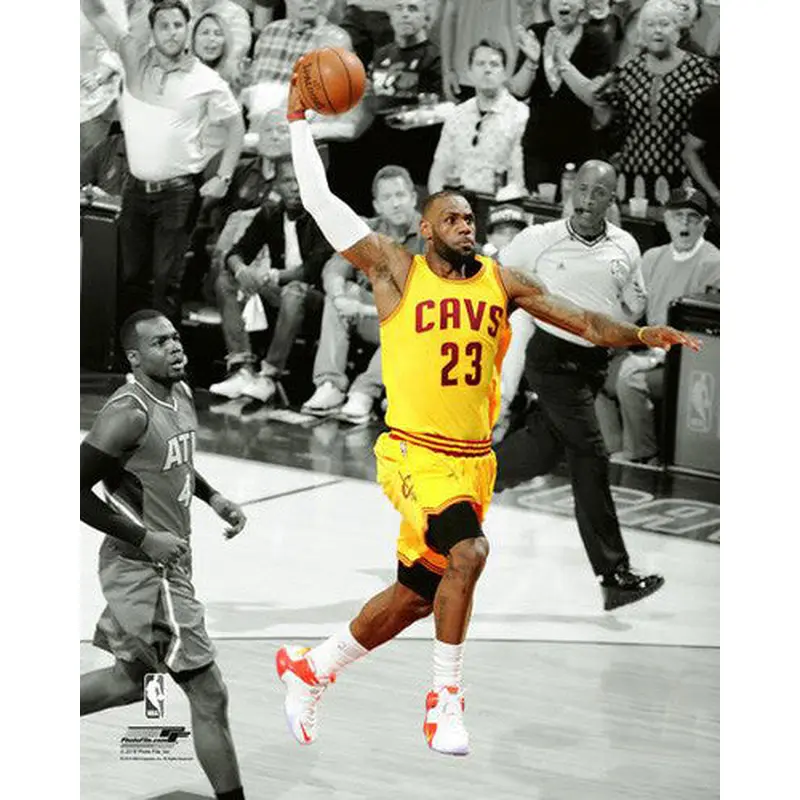 LeBron James "Flight 23" (2016) Cleveland Cavaliers Premium Poster Print - Photofile 16x20
