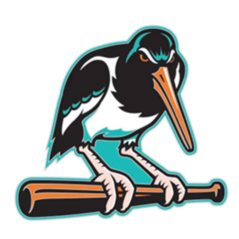 Chesapeake Baysox PIN Enamel Oystercatcher