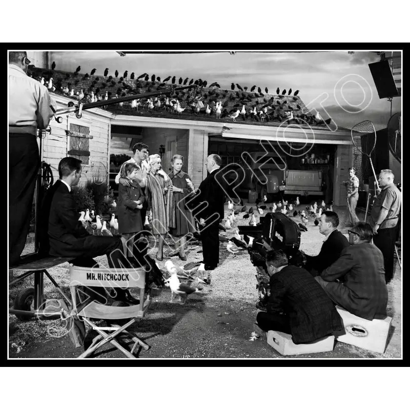 1963 Alfred Hitchcock 11X14 Photo - The Birds - 3187