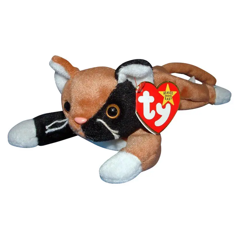Chip the Cat