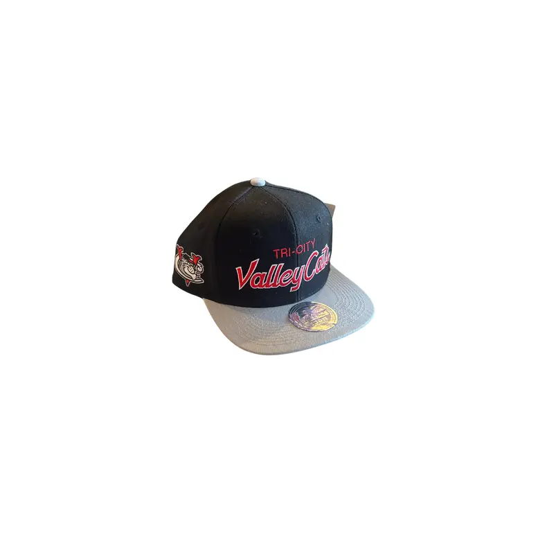 Dynasty Black and Grey Snapback Hat