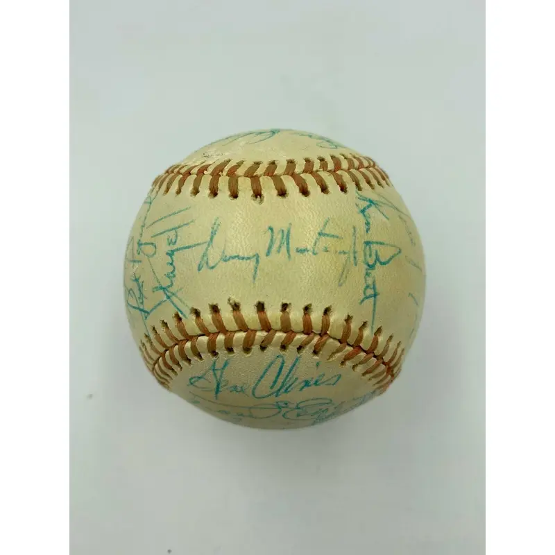 Nice 1972 Pittsburgh Pirates Team Signed Official National League Baseball