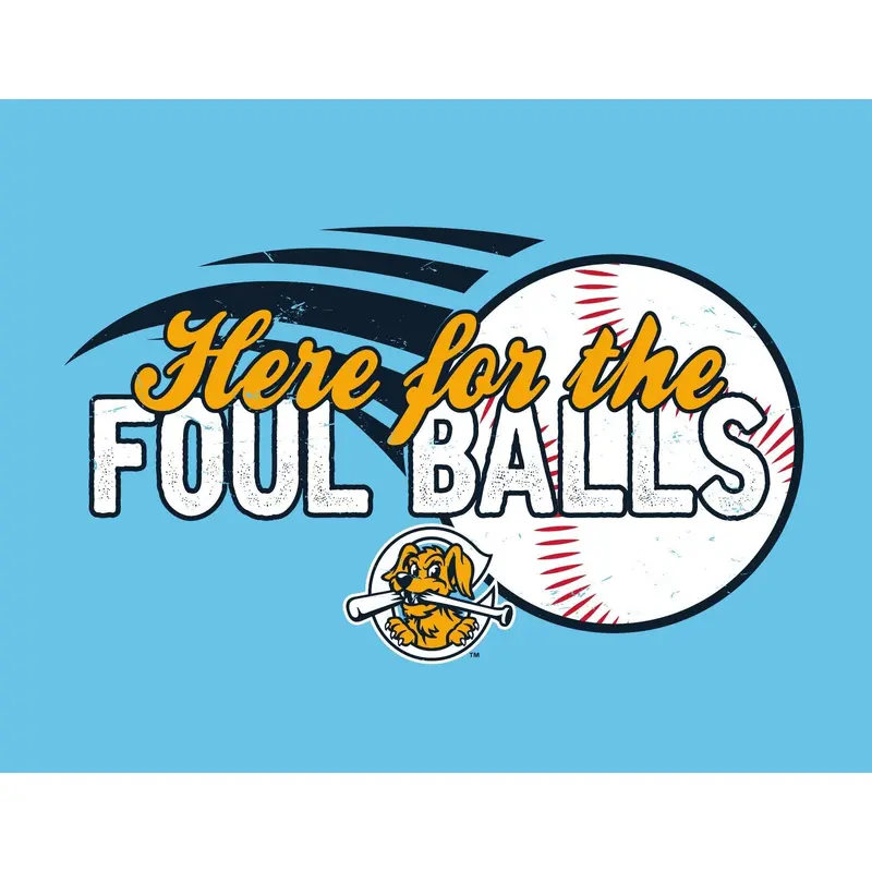 RD Youth Here for the Foul Balls Tee