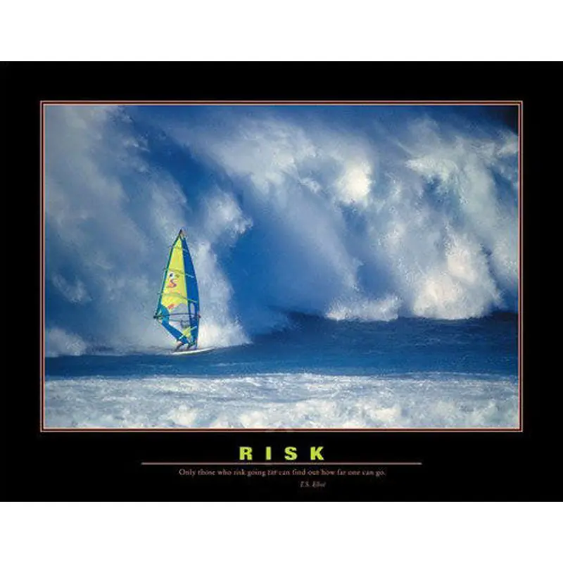 Windsurfing "Risk" Motivational Poster Print - Eurographics