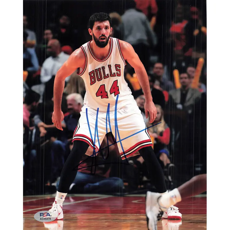 Nikola Mirotic signed 8x10 photo PSA/DNA Chicago Bulls Autographed