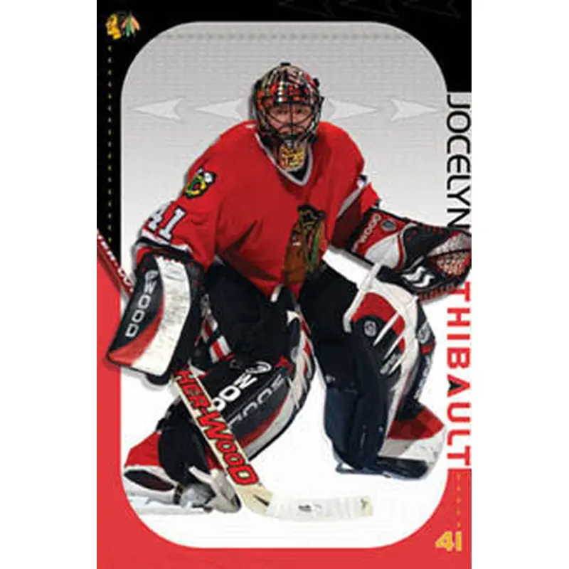 Jocelyn Thibault "Stopper" Chicago Blackhawks Goalie Poster - Costacos 2003