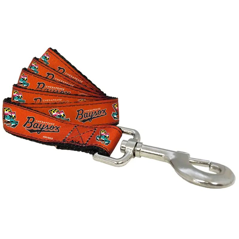 Chesapeake Baysox Pet Leash