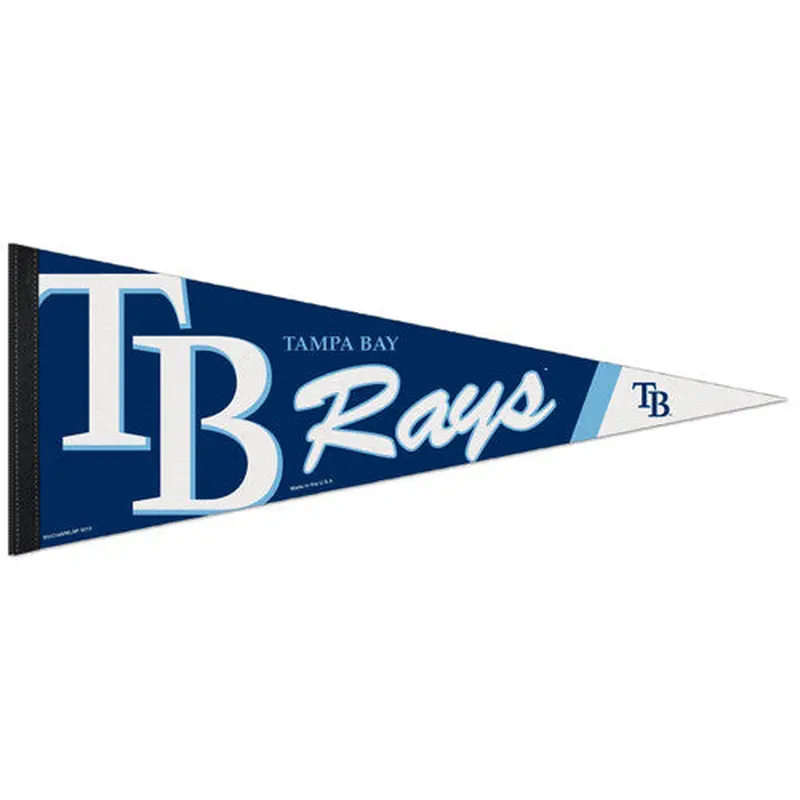 Tampa Bay Rays Official MLB Team Logo Premium Felt Collector's Pennant - Wincraft