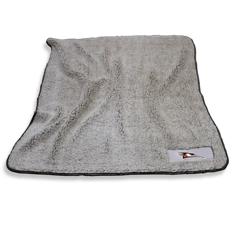 Delmarva Shorebirds Black Frosty Trim Fleece